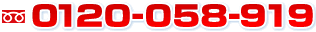 0120-058-919